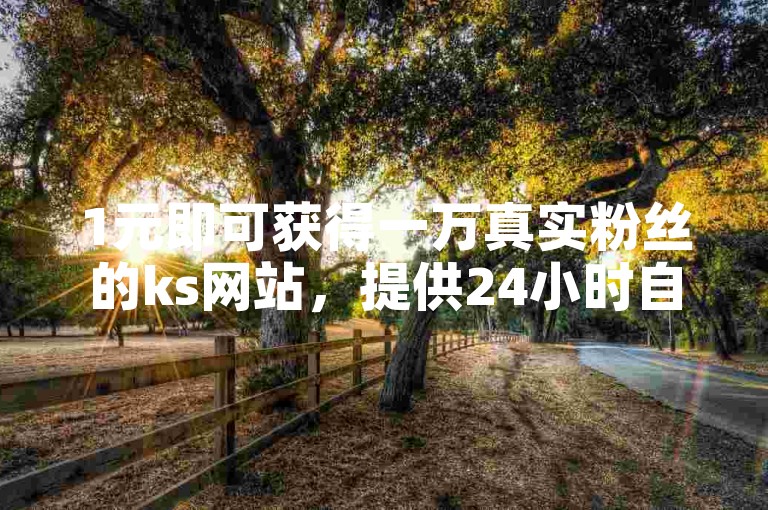 1元即可获得一万真实粉丝的ks网站，提供24小时自助下单服务，让你轻松拥有高人气。