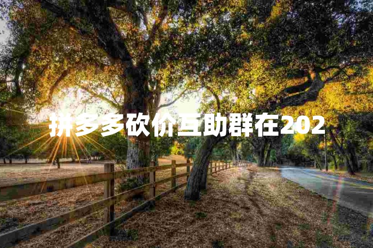拼多多砍价互助群在2025年将迎来前所未有的繁荣，成为探索互助新纪元的典范。