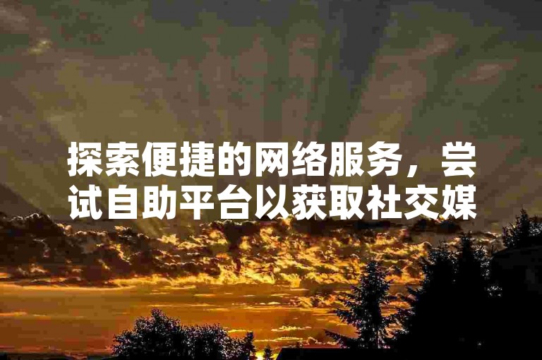 探索便捷的网络服务，尝试自助平台以获取社交媒体的点赞支持。