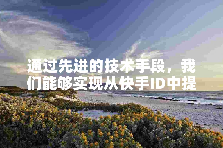 通过先进的技术手段，我们能够实现从快手ID中提取用户手机号的功能，同时还能提供刷快手作品点赞的服务。