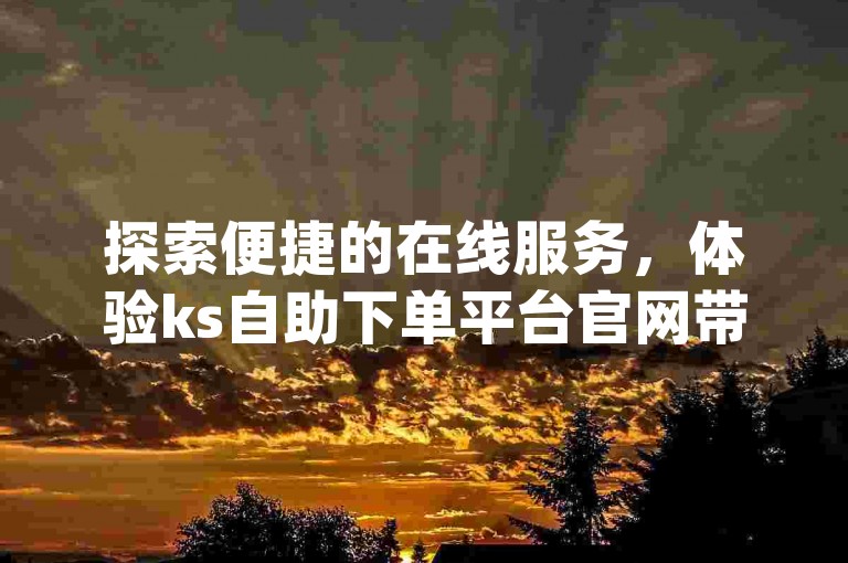 探索便捷的在线服务，体验ks自助下单平台官网带来的dy业务免费自助下单的便利。