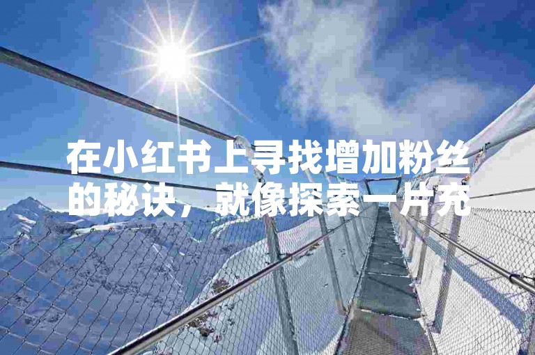 在小红书上寻找增加粉丝的秘诀，就像探索一片充满小眼睛图标的神秘花园。