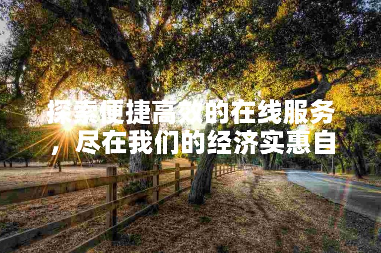 探索便捷高效的在线服务，尽在我们的经济实惠自助下单系统，微信直达，享受网络独家优惠。