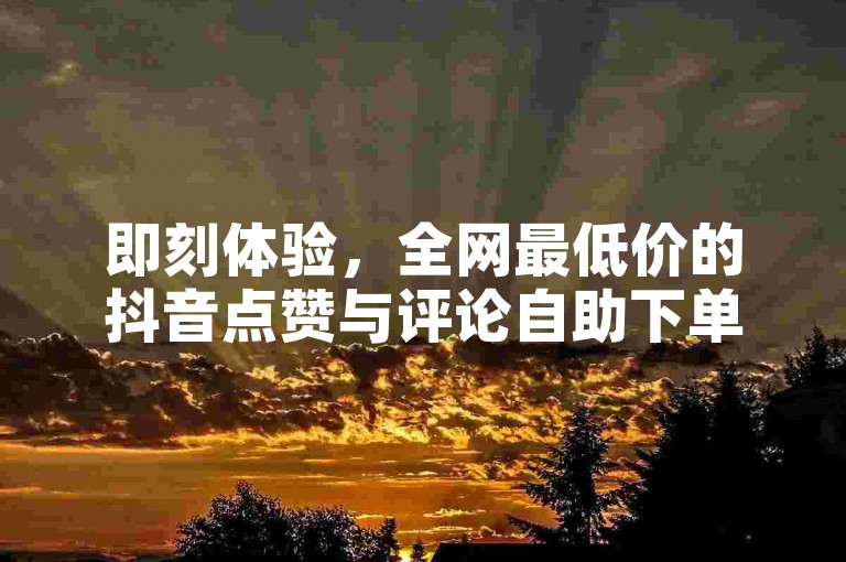 即刻体验，全网最低价的抖音点赞与评论自助下单平台 - 快手热度提升专家。
