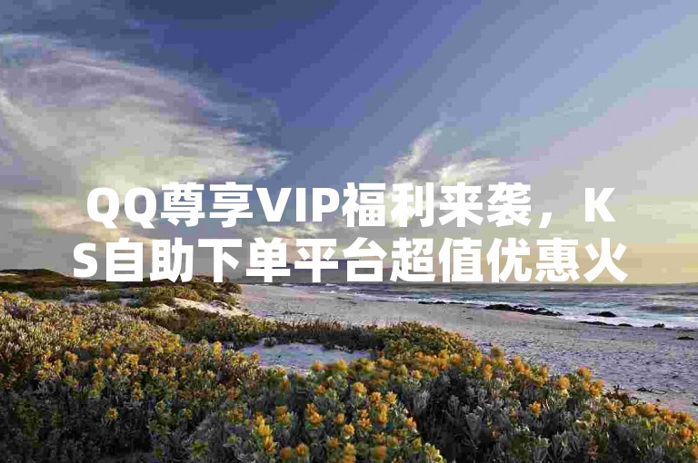 QQ尊享VIP福利来袭，KS自助下单平台超值优惠火热进行中！