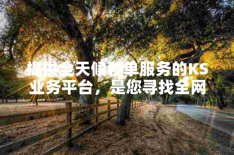 提供全天候秒单服务的KS业务平台，是您寻找全网最低自助下单网站快手的不二之选。
