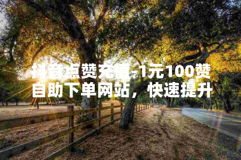 抖音点赞充值-1元100赞自助下单网站，快速提升你的视频热度。
