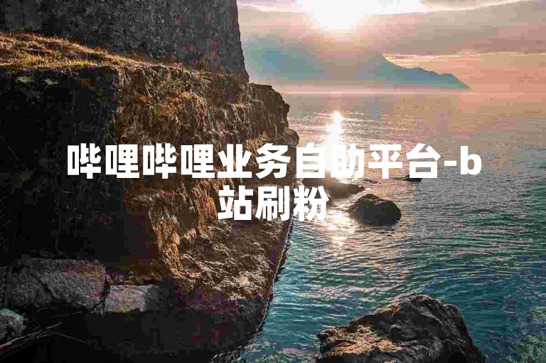 哔哩哔哩业务自助平台-b站刷粉