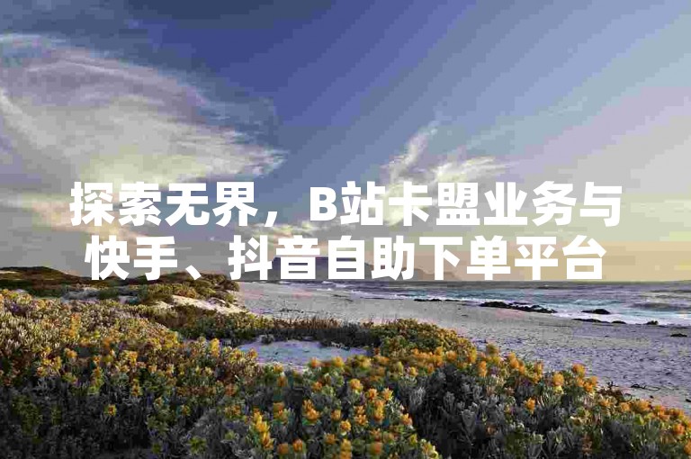 探索无界，B站卡盟业务与快手、抖音自助下单平台，提供最低价格的二十四小时服务。