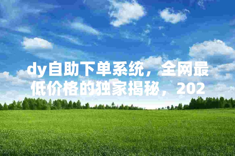dy自助下单系统，全网最低价格的独家揭秘，2025年必学！
