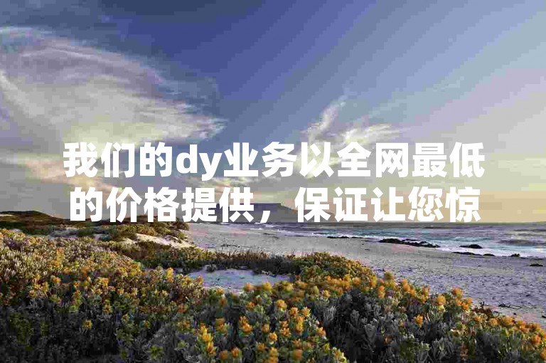 我们的dy业务以全网最低的价格提供，保证让您惊喜连连！