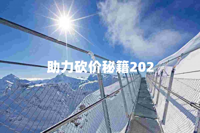 助力砍价秘籍2025年拼多多砍价至最后阶段，面对0.01的僵局，如何巧妙破解？