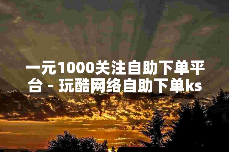 一元1000关注自助下单平台 - 玩酷网络自助下单ks