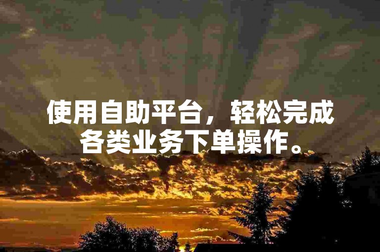 使用自助平台，轻松完成各类业务下单操作。