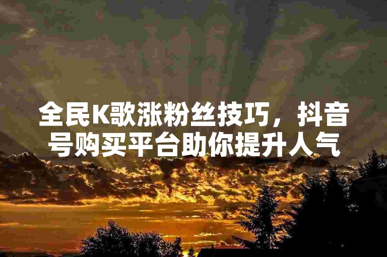 全民K歌涨粉丝技巧，抖音号购买平台助你提升人气。