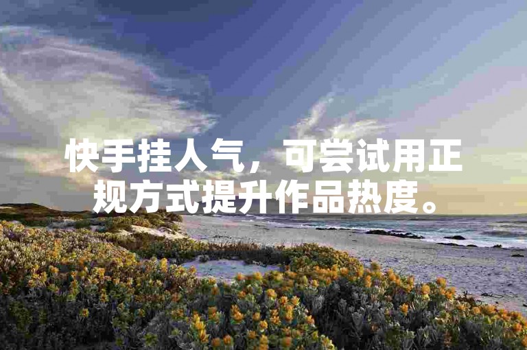 快手挂人气，可尝试用正规方式提升作品热度。
