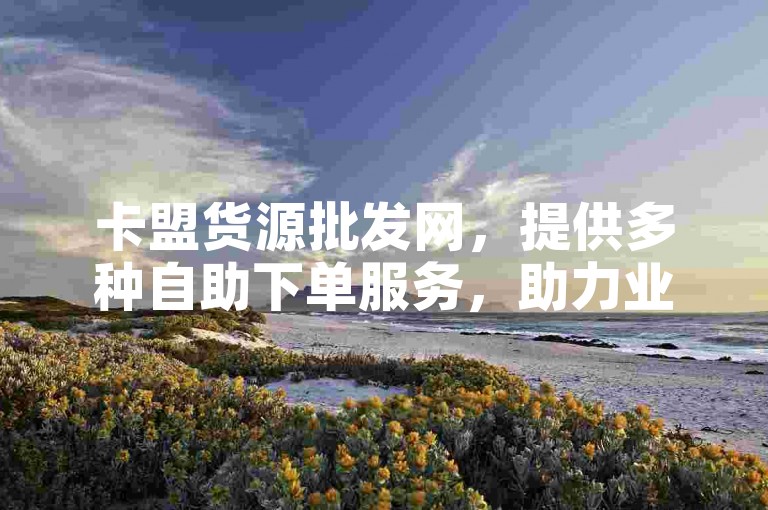 卡盟货源批发网，提供多种自助下单服务，助力业务高效开展。