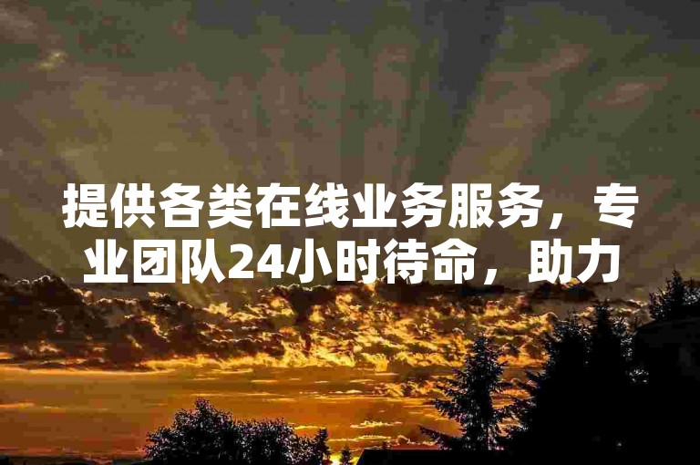 提供各类在线业务服务，专业团队24小时待命，助力网络发展。