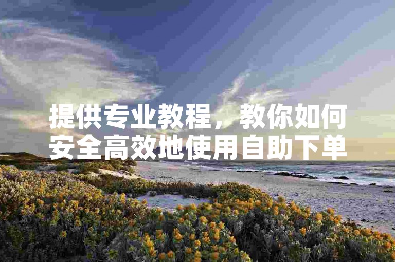 提供专业教程，教你如何安全高效地使用自助下单服务。
