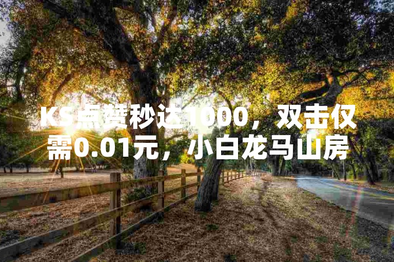 KS点赞秒达1000，双击仅需0.01元，小白龙马山房产装修。