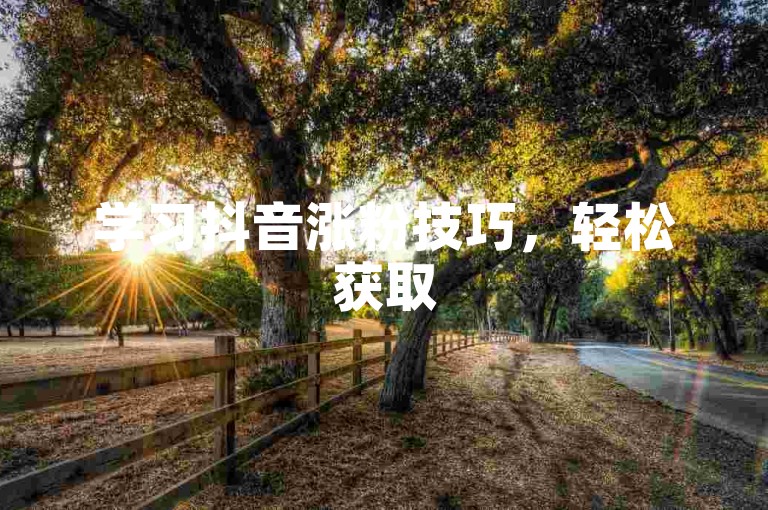 学习抖音涨粉技巧，轻松获取500有效粉丝。