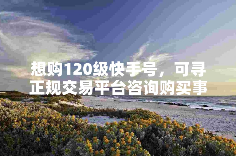 想购120级快手号，可寻正规交易平台咨询购买事宜。