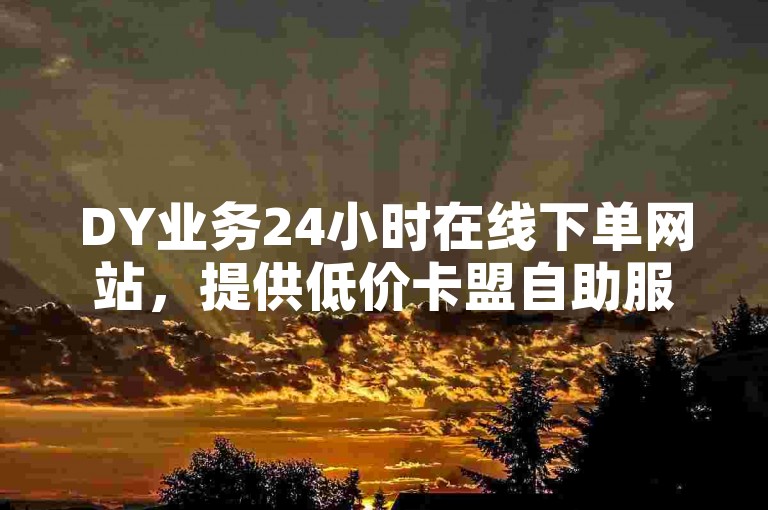 DY业务24小时在线下单网站，提供低价卡盟自助服务。