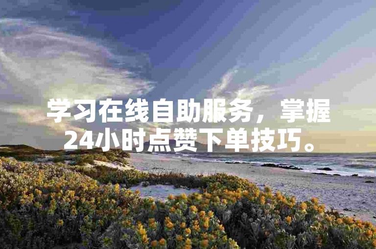 学习在线自助服务，掌握24小时点赞下单技巧。