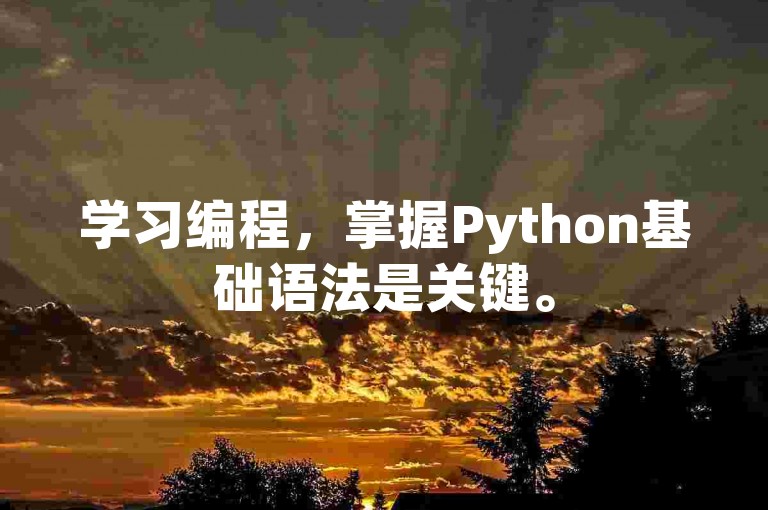 学习编程，掌握Python基础语法是关键。