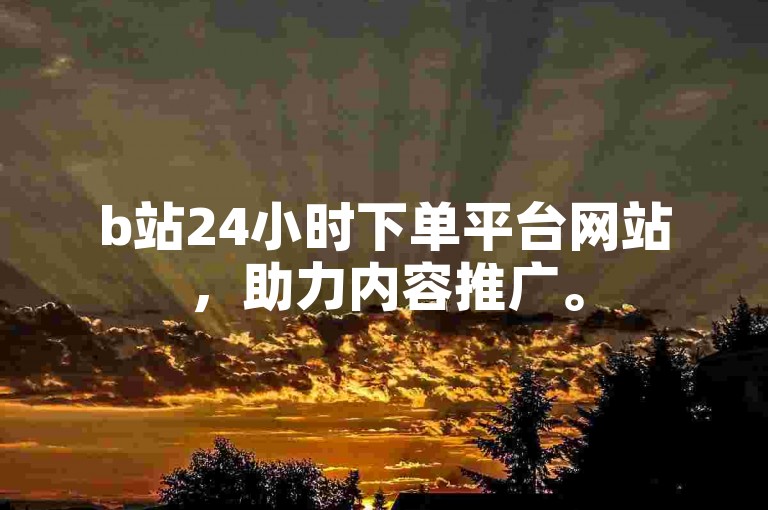 b站24小时下单平台网站，助力内容推广。