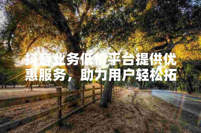 抖音业务低价平台提供优惠服务，助力用户轻松拓展业务。