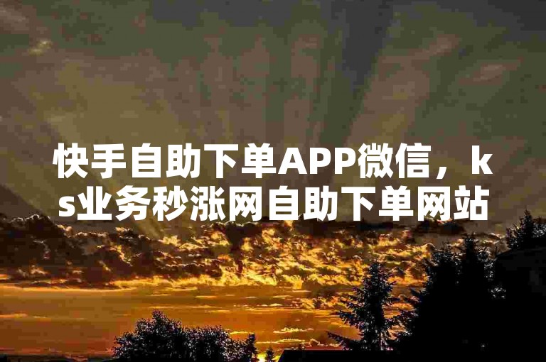 快手自助下单APP微信，ks业务秒涨网自助下单网站。
