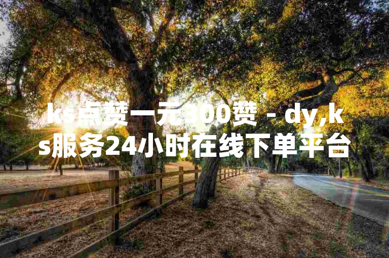 ks点赞一元300赞 - dy,ks服务24小时在线下单平台。