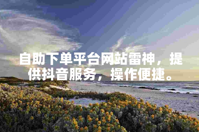 自助下单平台网站雷神，提供抖音服务，操作便捷。
