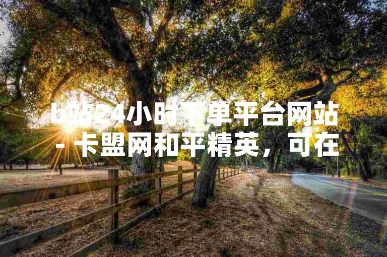 b站24小时下单平台网站 - 卡盟网和平精英，可在此便捷下单。