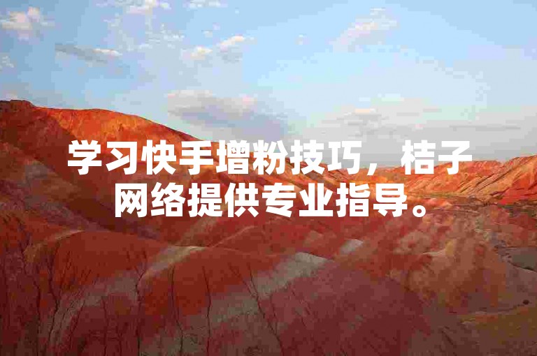 学习快手增粉技巧，桔子网络提供专业指导。