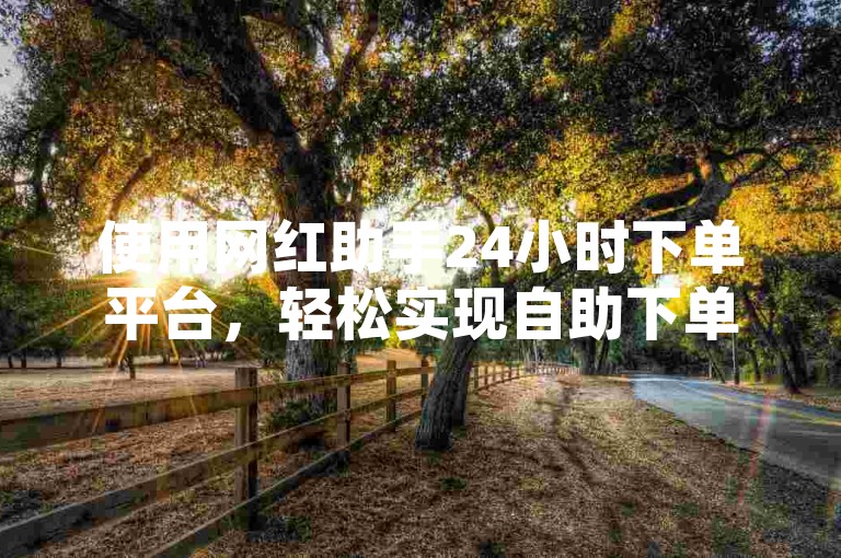 使用网红助手24小时下单平台，轻松实现自助下单操作。