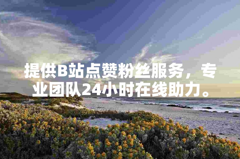 提供B站点赞粉丝服务，专业团队24小时在线助力。