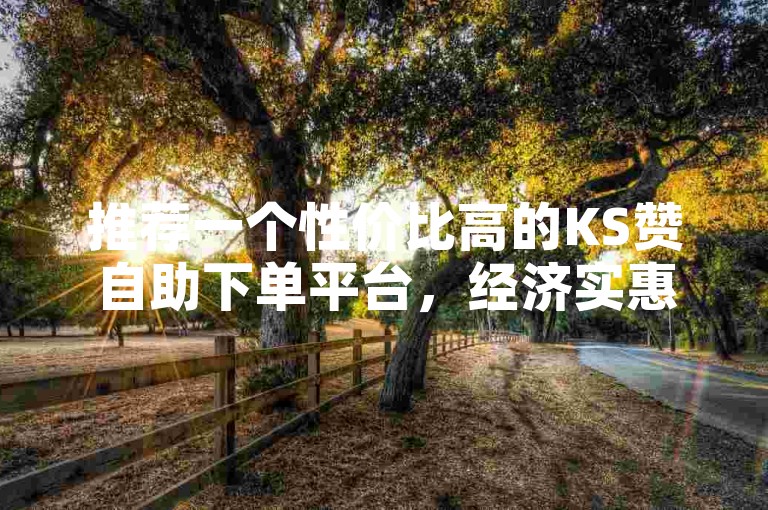 推荐一个性价比高的KS赞自助下单平台，经济实惠。