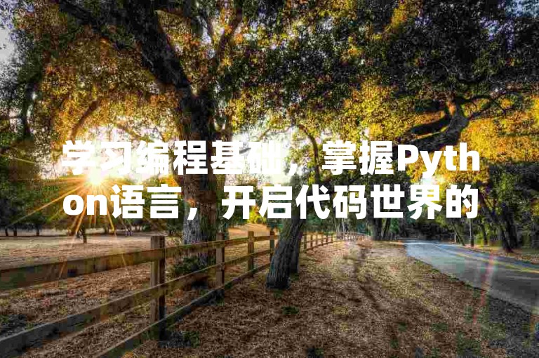 学习编程基础，掌握Python语言，开启代码世界的大门。