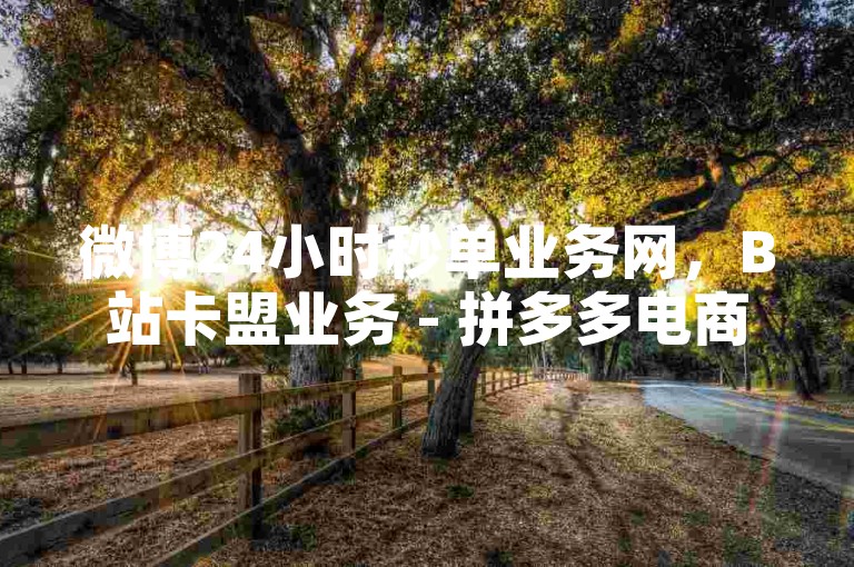微博24小时秒单业务网，B站卡盟业务 - 拼多多电商 - KS业务下单平台稳定可靠。