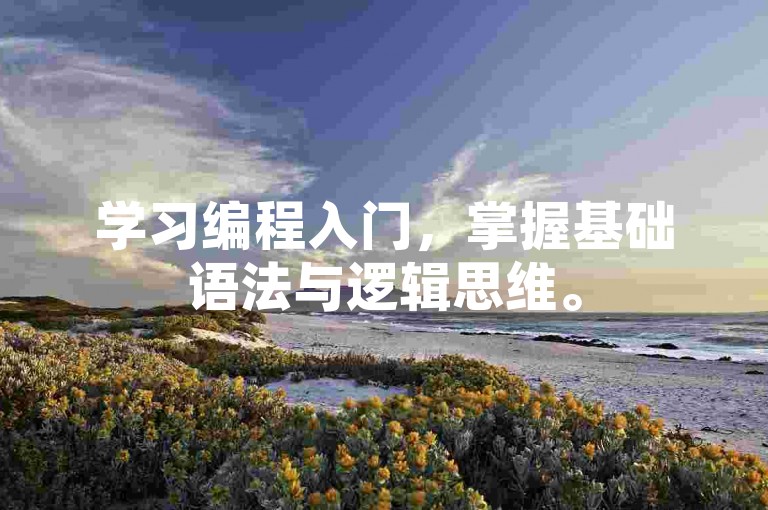 学习编程入门，掌握基础语法与逻辑思维。