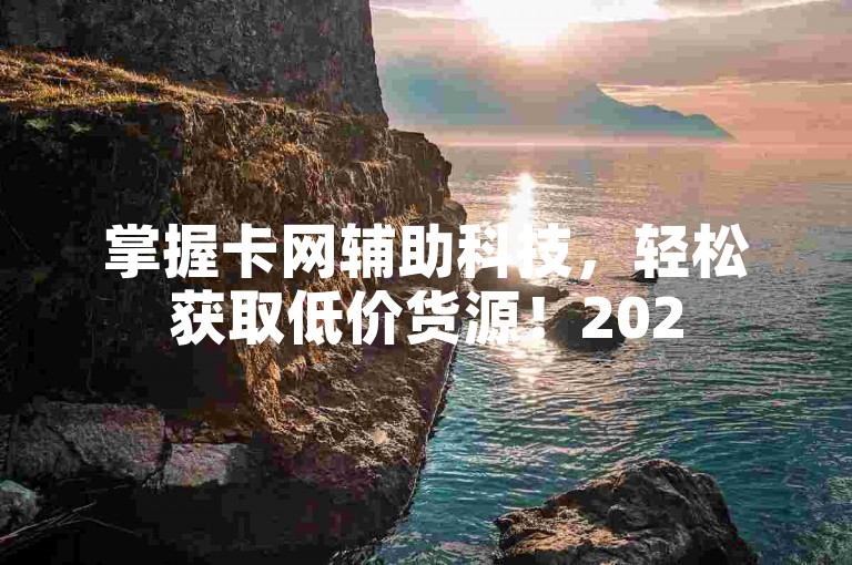 掌握卡网辅助科技，轻松获取低价货源！2025必备技能。
