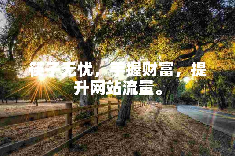 筷子无忧，手握财富，提升网站流量。