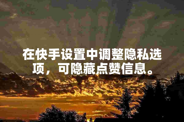 在快手设置中调整隐私选项，可隐藏点赞信息。