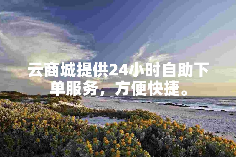 云商城提供24小时自助下单服务，方便快捷。