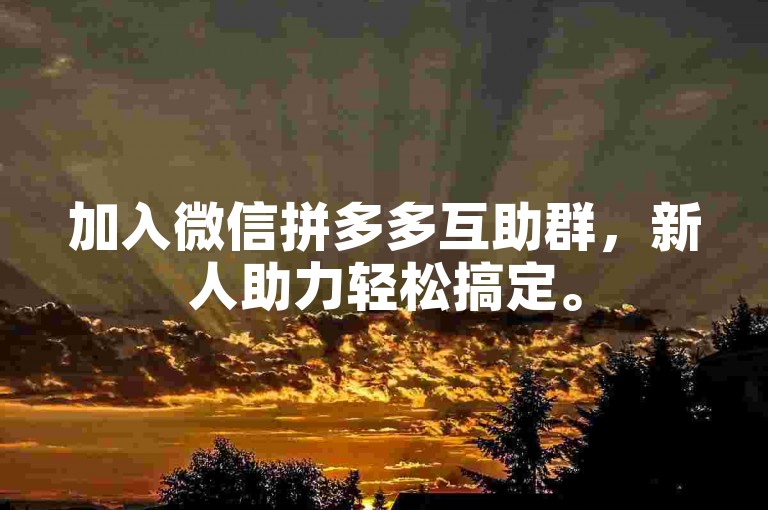 加入微信拼多多互助群，新人助力轻松搞定。