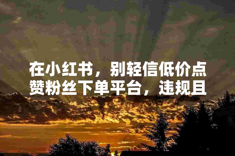 在小红书，别轻信低价点赞粉丝下单平台，违规且有风险。