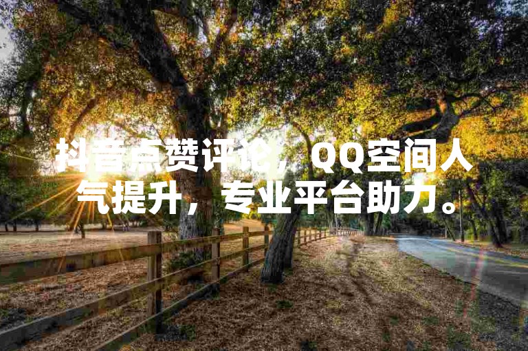 抖音点赞评论，QQ空间人气提升，专业平台助力。