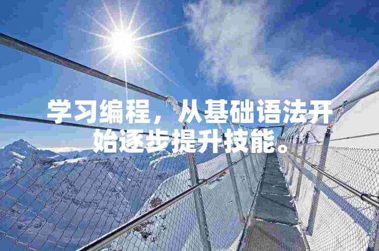 学习编程，从基础语法开始逐步提升技能。